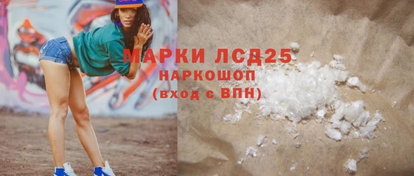 стафф Арсеньев