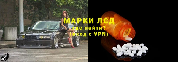 стафф Арсеньев