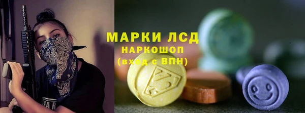 стафф Арсеньев