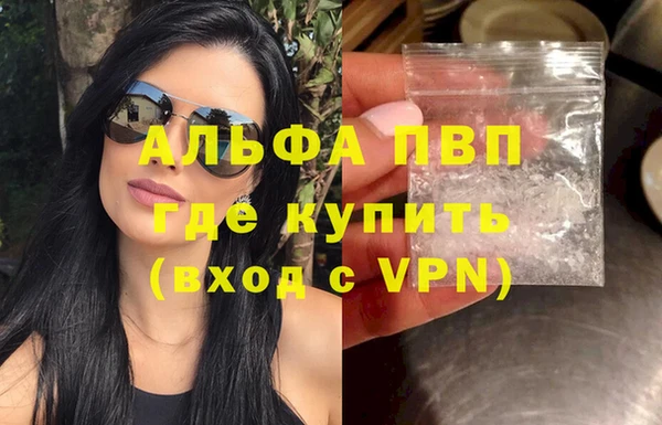стафф Арсеньев