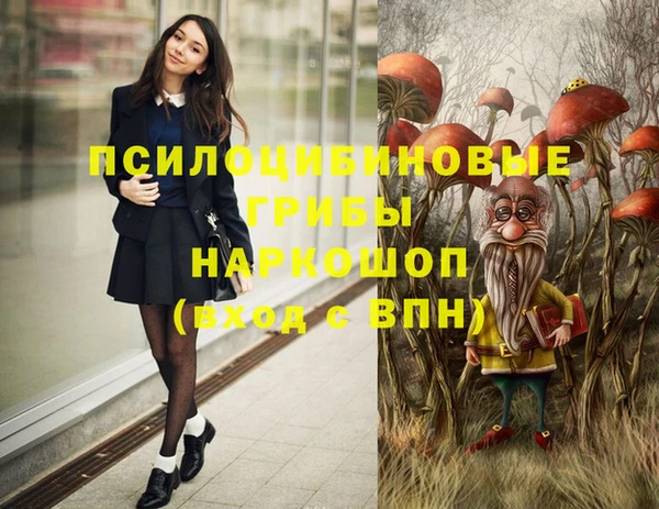 МДПВ Аркадак