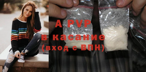 стафф Арсеньев